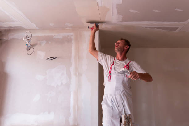 Best Ceiling Drywall Installation  in Rolling Meadows, IL